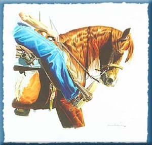 North Central Reining Horse Assc. Directory - Contact Karen Kasten for a copy.